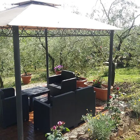 L'oliveta Σιένα