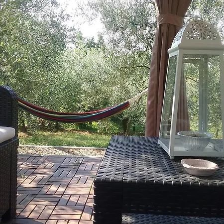 Vakantiehuis L'oliveta *