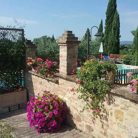 L'oliveta *