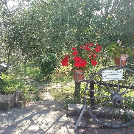 Vakantiehuis L'oliveta *