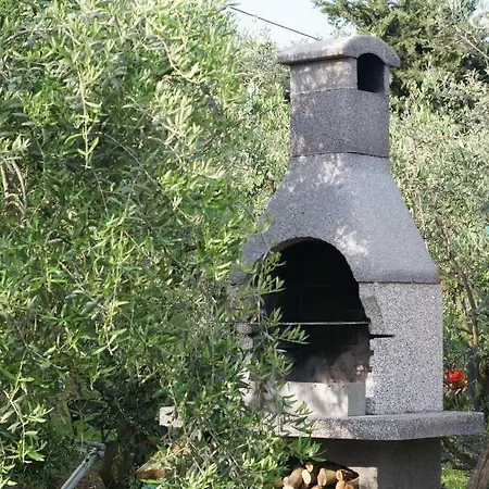 L'oliveta * Siena