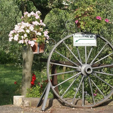 L'oliveta * Siena