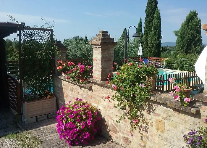 L'oliveta *